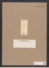 Navicula sp. (de-Toni-Nr.: Genus 1) Zeichnungen Sammlung Grunow Nr. 1602 (NHMW-BOT-W0368150)